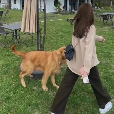法网追凶第三季